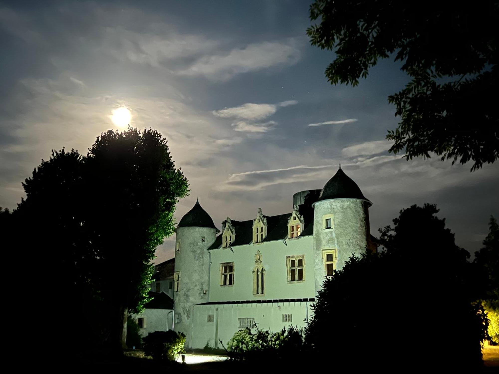 Chateau Mariande Estancarbon Exterior foto